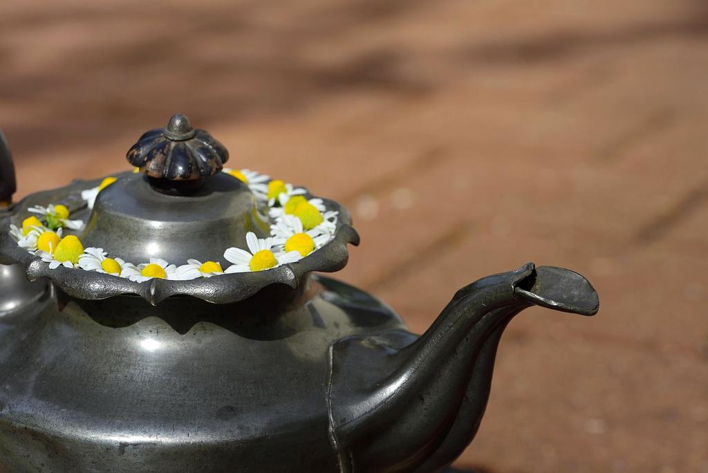 Loose leaf herbal tea with chamomile flowers in a cup